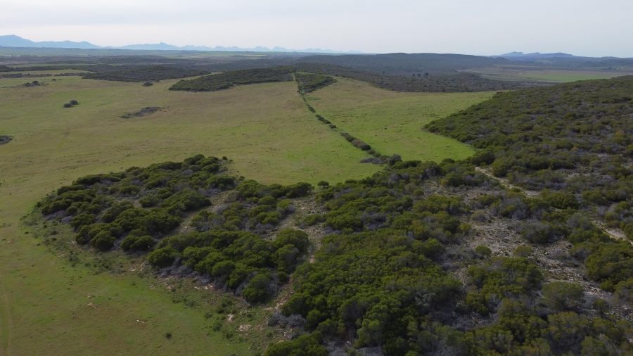 0 Bedroom Property for Sale in Riversdale Rural Western Cape